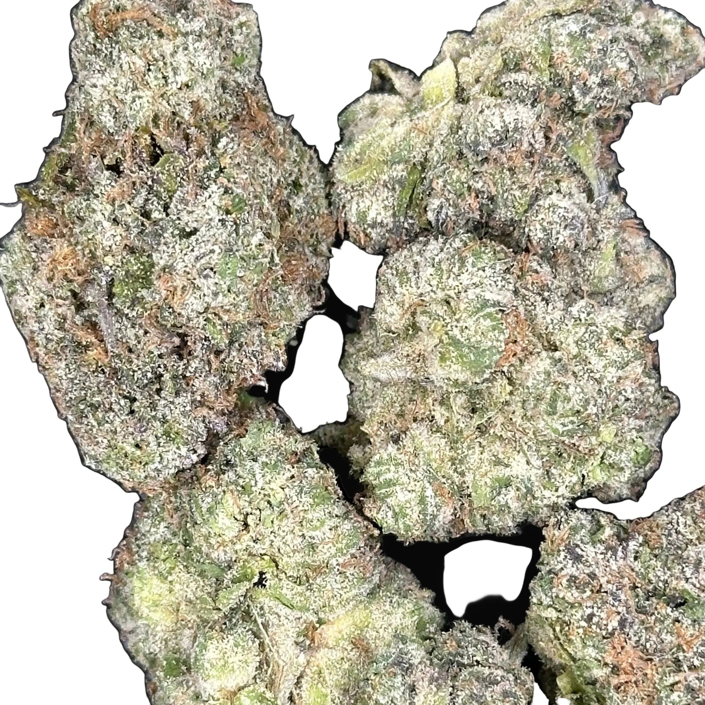 SOUR PUNCH