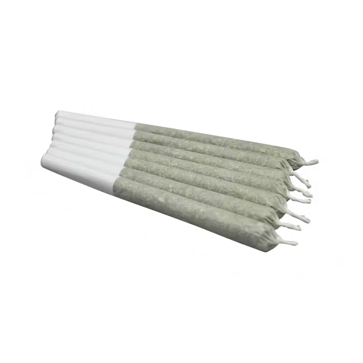 BLUEBERRY MOJITO - INDICA