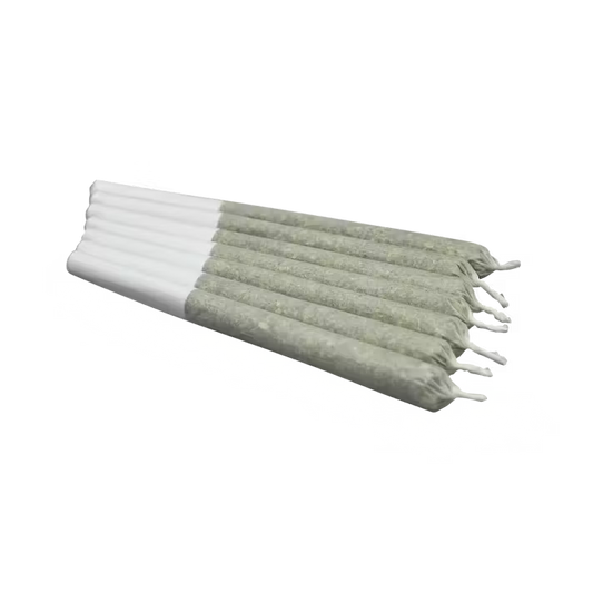 BERRY RUNTZ - HYBRID