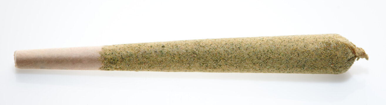 BERRY RUNTZ - HYBRID