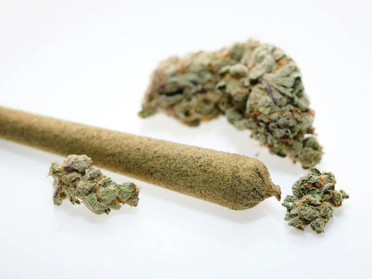 CHERRY ZLUSHIE - INDICA