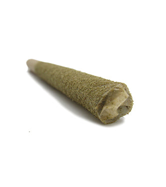 ORANGE SODA - SATIVA